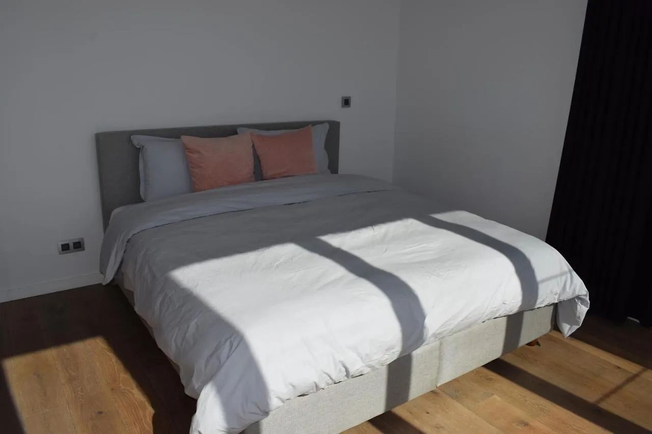 Large Penthouse - Private Parking - In A Beautiful Domain Apartment Antwerp Belgium